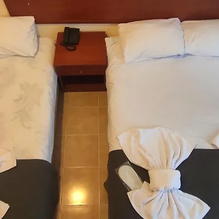 Hotel Sah *